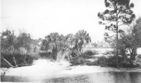 Estero River (Unknown location