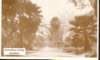 postcardkoreshanunitygardens02_small.jpg