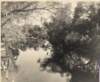 viewofesteroriver02_small.jpg