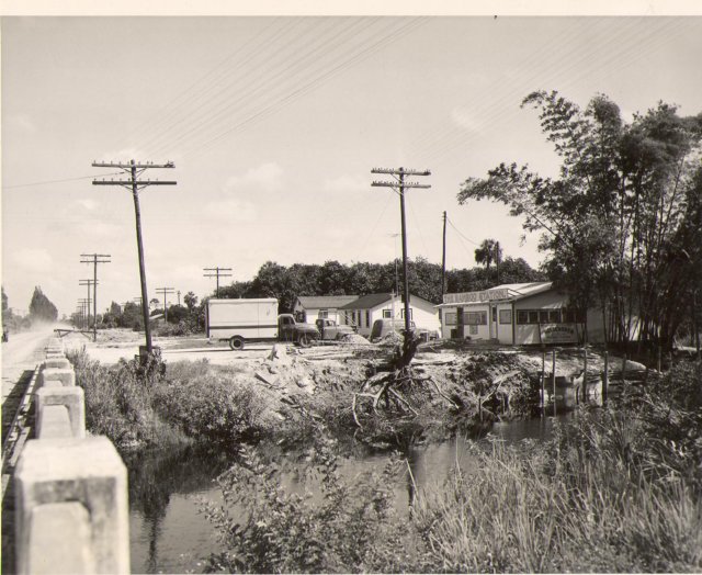 wideningtamiamitrlookingnesterorvr011956.jpg