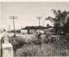wideningtamiamitrlookingnesterorvr011956_small.jpg