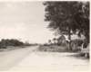 wideningtamiamitrlookings01arthall1956_small.jpg