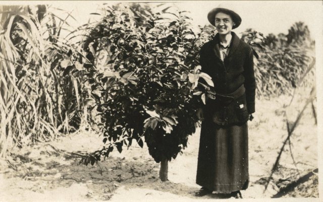 mariefischersugarcanepostcard.jpg