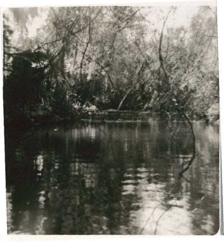 viewofesteroriver01.jpg