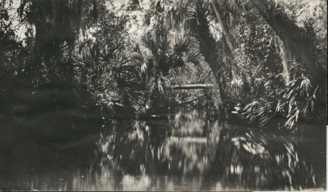 viewofesteroriver02.jpg