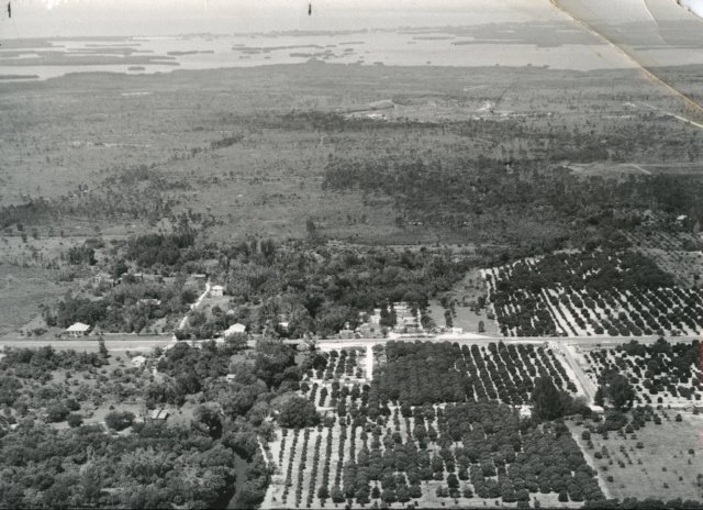 aerialviewestero1950s01.jpg