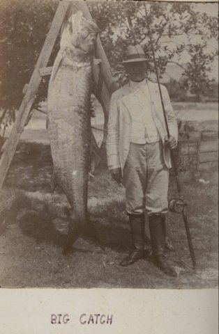 bigcatch.jpg