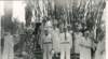 koreshanmemberssolarfestivaloct18194101_small.jpg