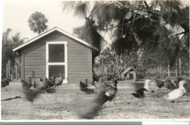 chickenhouseyardenlargedwest1926.jpg