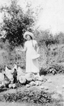 Woman feeding chickens